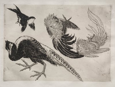 Serviço de Jantar (serviço Rousseau): Faisões e pássaros (nº 18) de Felix Bracquemond