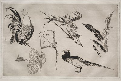Serviço de Jantar (serviço Rousseau): Galos, patins, plantas, etc. (nº 9) de Felix Bracquemond