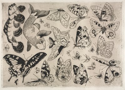Serviço de Jantar Serviço Rousseau: Borboletas e Peixes no. 16, 1866. de Felix Bracquemond
