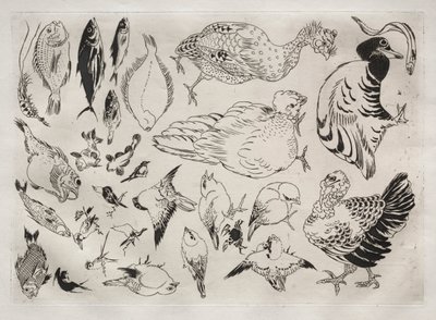 Serviço de jantar Serviço Rousseau: patos, peixes, etc. não. 12, 1866. de Felix Bracquemond