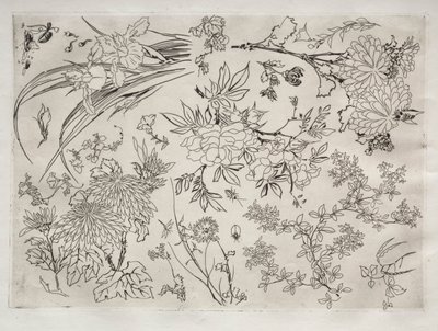 Serviço de Jantar Serviço Rousseau: Flores no. 23, 1866. de Felix Bracquemond