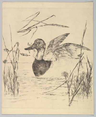Floresta. de Felix Bracquemond
