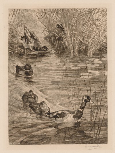 Patos em jogo de Felix Bracquemond