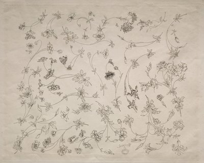 Desenhos de flores para pratos e bordaduras (n.º 14) de Felix Bracquemond