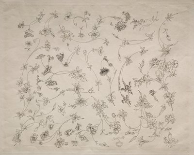 Desenhos de flores para pratos e bordas no. 14, 1872. de Felix Bracquemond