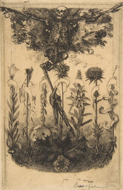Floresta. de Felix Bracquemond