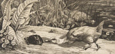 O Desconhecido, 1862. de Felix Bracquemond