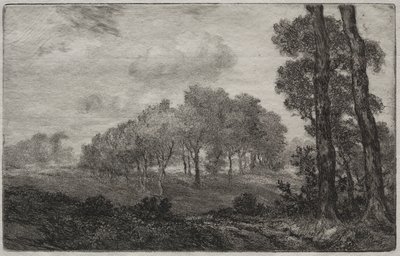 Paisagem, depois do francês de Felix Bracquemond