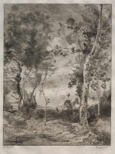Paisagem, ou O Cavalo Branco, depois de Corot de Felix Bracquemond