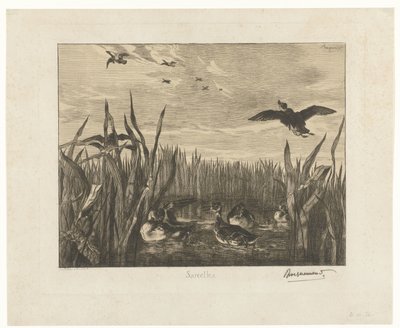 Paisagem com marrecos na água entre juncos Sarcelles (título no objeto) de Felix Bracquemond