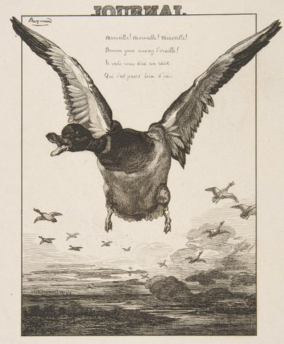 O Pato, 1856. de Felix Bracquemond