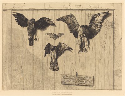 O topo de uma folha de porta (Pássaros pregados a uma porta de celeiro) de Felix Bracquemond