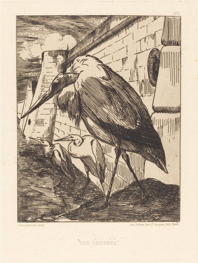 Les Cigognes (As Cegonhas) de Felix Bracquemond