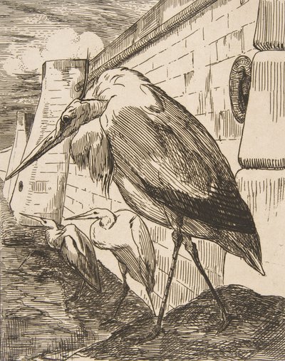 As cegonhas, década de 1870., década de 1870. de Felix Bracquemond
