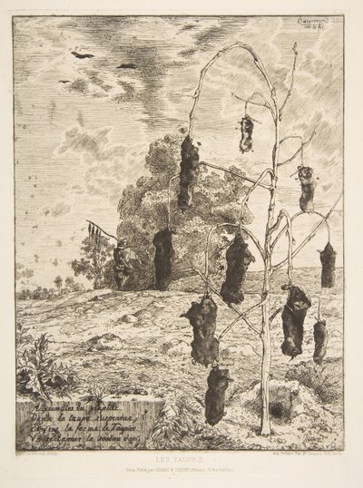 Os Moles, 1854. de Felix Bracquemond