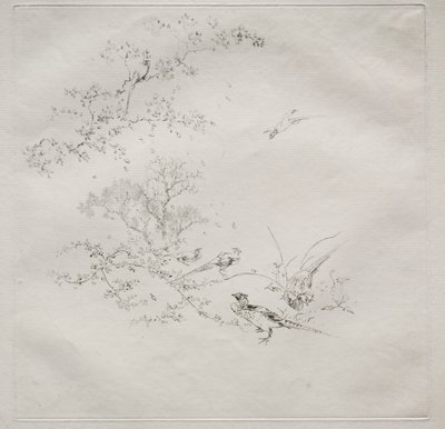 Serviço parisiense (serviço Haviland) de Felix Bracquemond