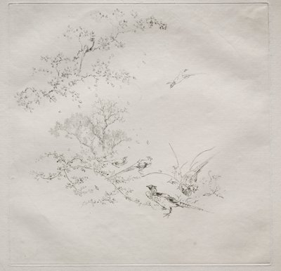 Serviço parisiense (serviço Haviland): Nevoeiro (nº 1) de Felix Bracquemond