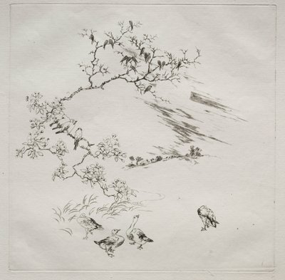 Serviço parisiense (serviço Haviland): Noite (nº 7) de Felix Bracquemond