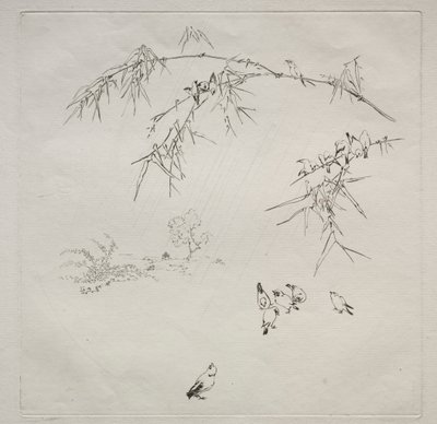 Serviço parisiense (serviço Haviland): Chuva (nº 10) de Felix Bracquemond