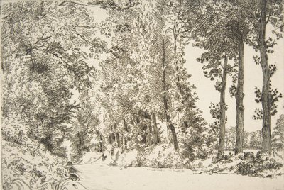 Rue des Bruyères, em Sèvres, 1868. de Felix Bracquemond