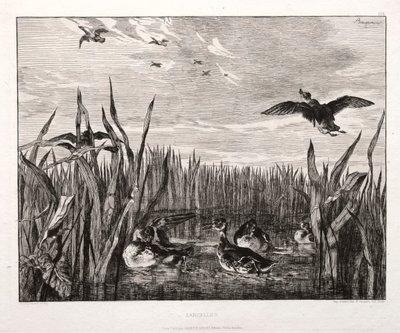 Cercas, 1853 impresso 1864. de Felix Bracquemond