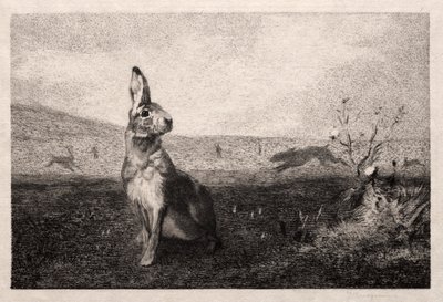 A Lebre (depois de A. de Balleroy) de Felix Bracquemond