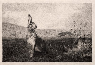 A lebre após A. de Balleroy, 1865. de Felix Bracquemond
