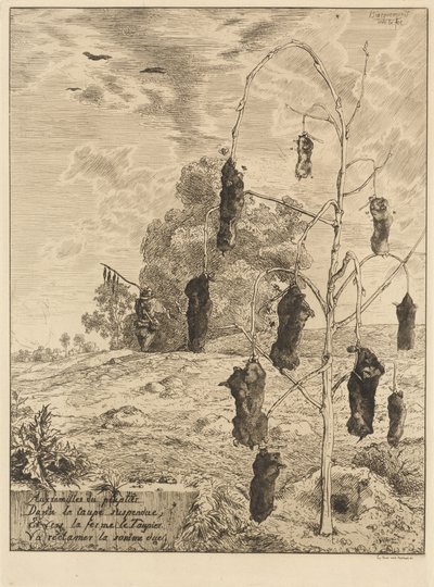 As toupeiras de Felix Bracquemond