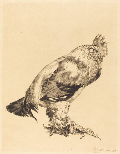 O galo velho de Felix Bracquemond