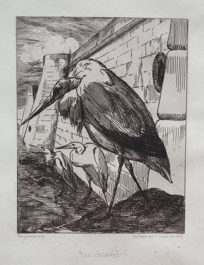 As cegonhas, 1865. de Felix Bracquemond