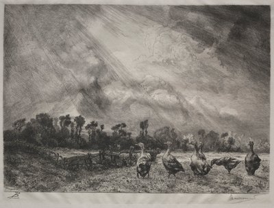 A nuvem de tempestade, 1878-1887. de Felix Bracquemond