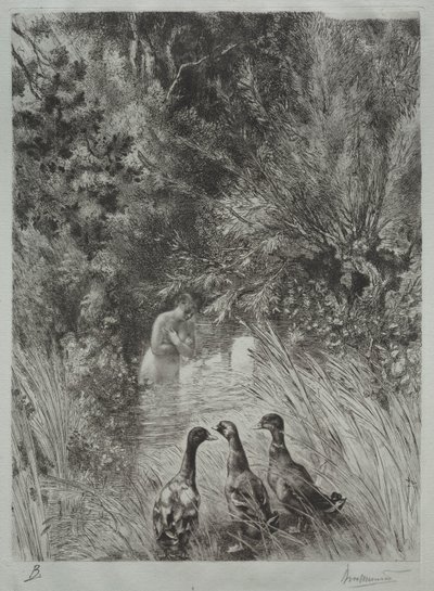 Os Patos Surpresos de Felix Bracquemond