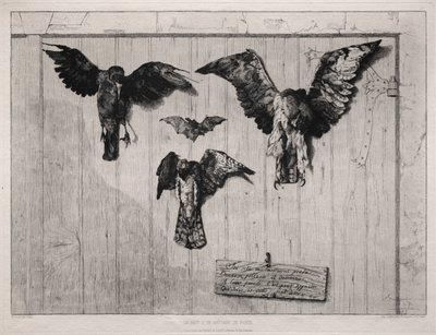 A parte superior da porta de batente, 1852, imprimiu 1865. de Felix Bracquemond