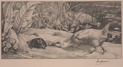 O desconhecido de Felix Bracquemond