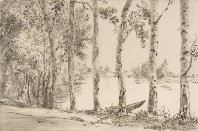 Álamos do Sena, ca. 1884. de Felix Bracquemond