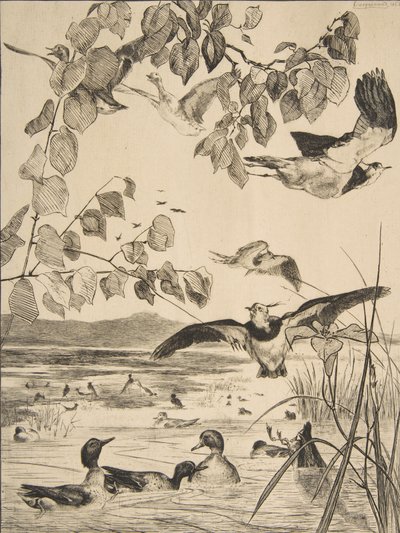 Abibe e Sarcelles, 1862. de Felix Bracquemond