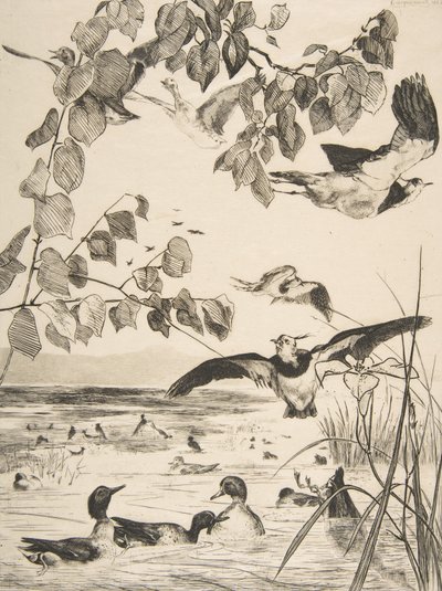 Abibe e Sarcelles, 1862. de Felix Bracquemond