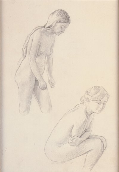 Dois nus de Felix Edouard Vallotton