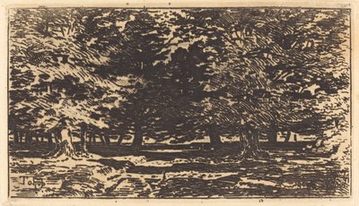 Floresta. de Felix Hilaire Buhot