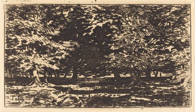 Forêt de Felix Hilaire Buhot