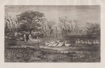 Gansos, 1860-98. de Felix Hilaire Buhot