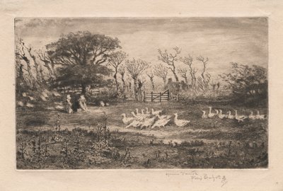 Gansos, 1887. de Felix Hilaire Buhot