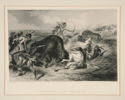 Caçando o Búfalo de Felix O. C. Darley