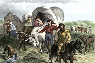 História dos colonos de Conquete Oeste: Pioneiros americanos. Viagens de várias famílias que atravessam as planícies dos Estados Unidos em diligências puxadas por bois. Gravura colorida do século XIX. de Felix Octavius Carr Darley