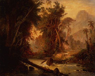 Uma Floresta Tropical na Venezuela (óleo sobre tela) de Ferdinand Bellermann