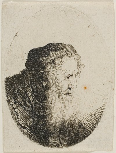 Velho barbudo com um boné de caveira de Ferdinand Bol