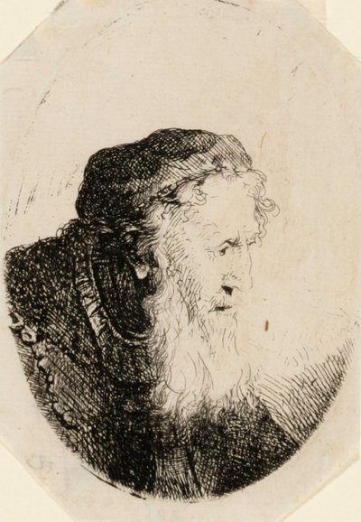 Homem idoso com barba esvoaçante de Ferdinand Bol