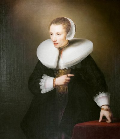 Retrato de uma mulher desconhecida de Ferdinand Bol