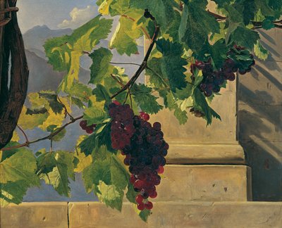 Uvas trepadeiras de Ferdinand Georg Waldmüller