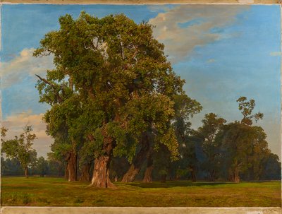 Grande Paisagem do Prater de Ferdinand Georg Waldmuller